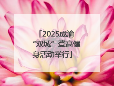 2025成渝“双城”登高健身活动举行